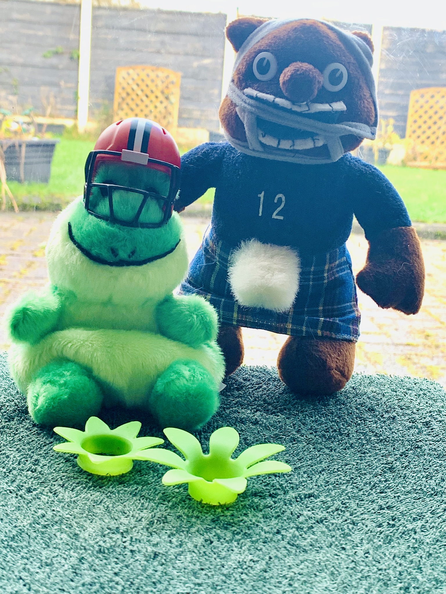 Shuggie Bear and a Frawg wearing a Cleveland Browns helmet. They're stood and sat in a totally realistic lily pond.