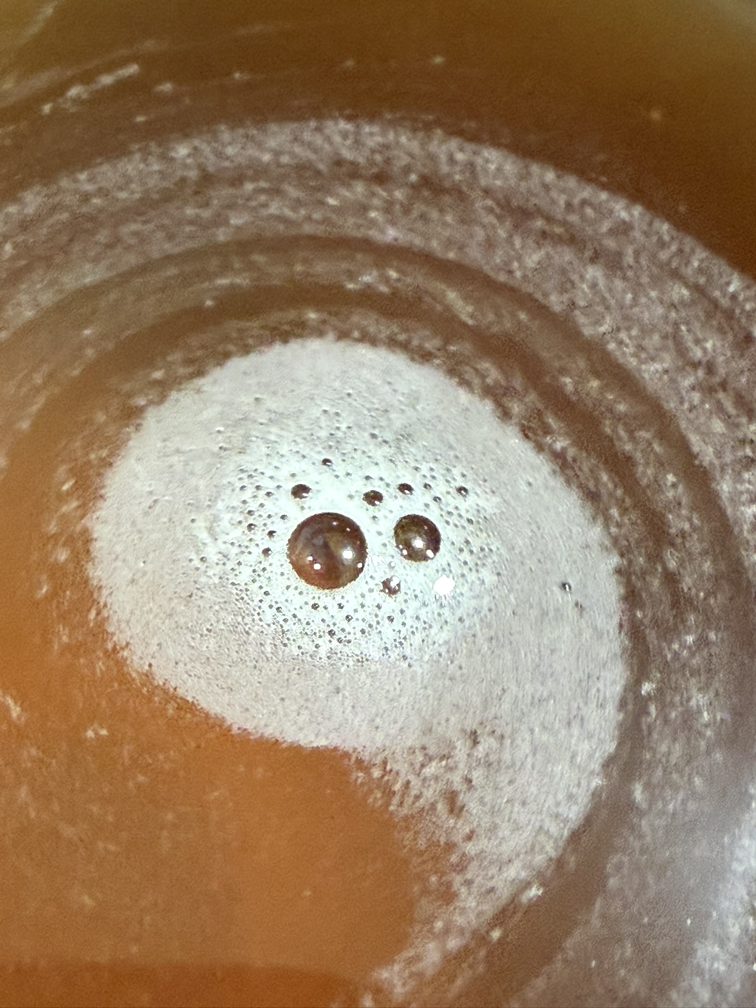 A Fibonacci-like spiral, the bubbles after stirring a sachet of powdered tea into a small mug filled either cold water.
