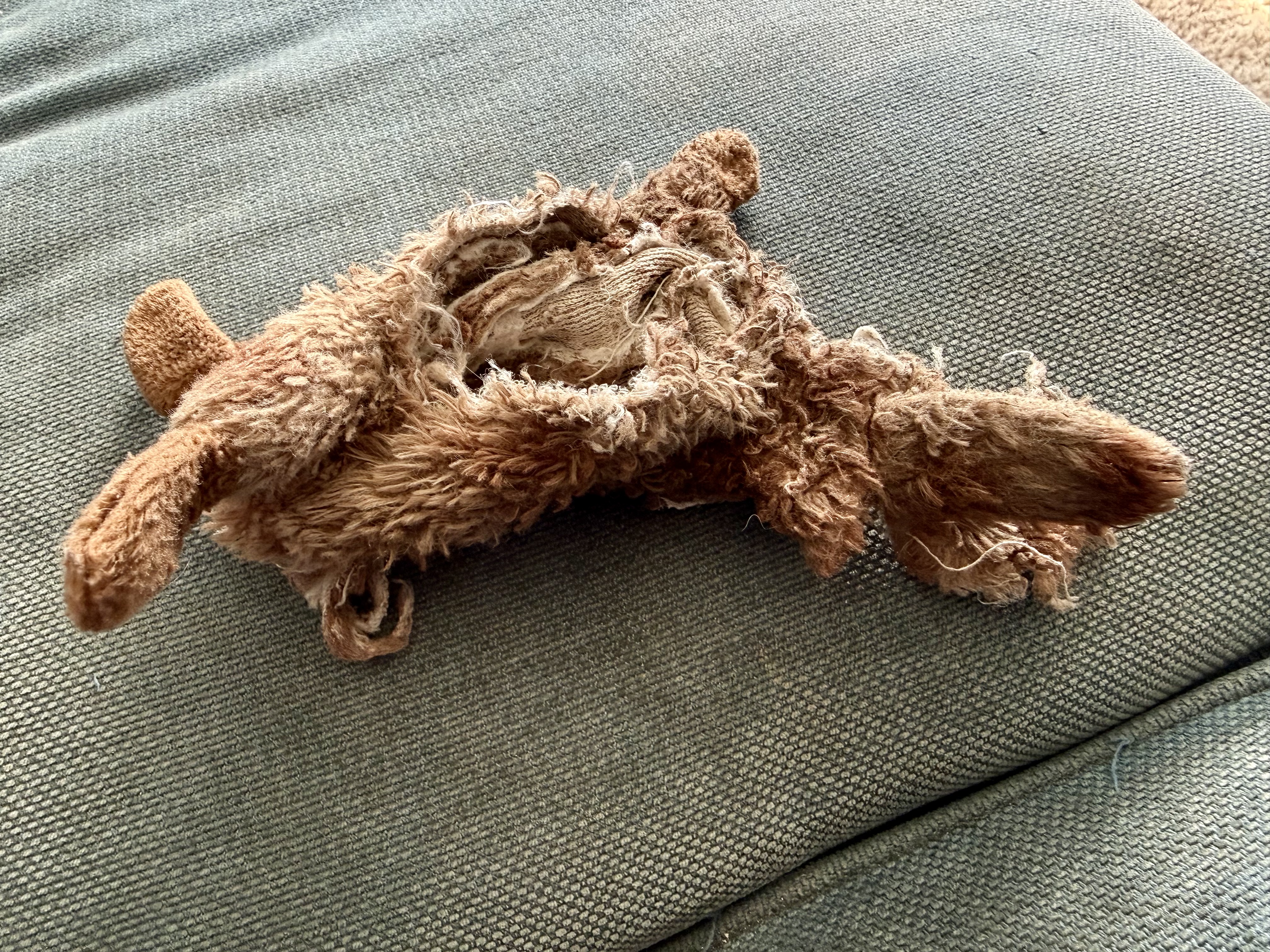 A dog's rustly rabbit toy. Ripped apart after a year, with no stuffing left now, no squeaker, but still loved and played with every day. How could it be replaced?